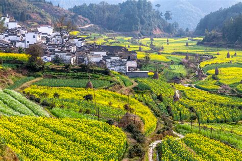 vising china rural area on youtube